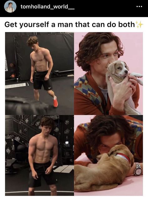 Tom Holland Iphone Wallpaper, Tom Holland Puppies, Tom Holland No Shirt, Tom Holland Imagines Boyfriend, Tom Holland With Puppies, Tom Holland Hands, Cute Tom Holland Pictures, Tom Holland Working Out, Tom Holland Thirst Trap