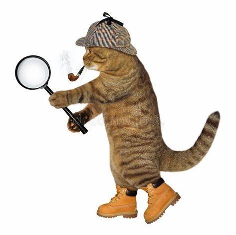 Cat Detective, Glass Cat, Cat Glasses, Cat Character, Silly Animals, Silly Cats, Magnifying Glass, Cute Little Animals, Sherlock Holmes