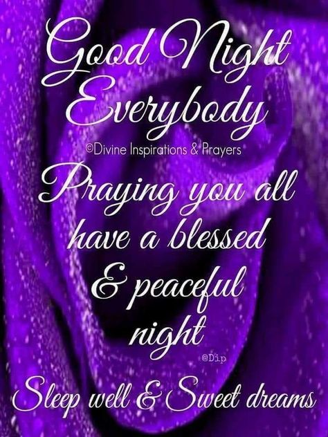 Good Night Sister I Love You, Black Good Night Quotes, Purple Good Night, Goodnight My Dear Sister, Goodnight Roses Sweet Dreams, Good Night Everybody, Good Night All, Good Night Friends Images, Goodnight Quotes Inspirational