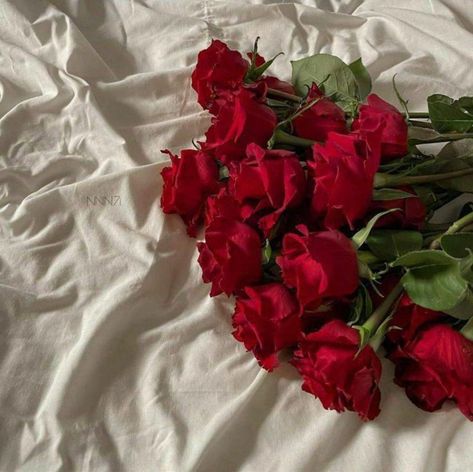 Aesthetic Flower, Book Aesthetic, Red Roses, Roses, Tumblr, Red