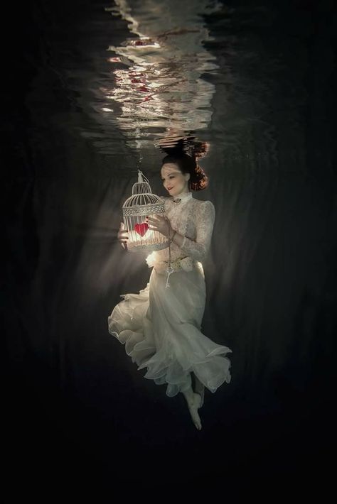 Lucie Drlikova Underwater Model, Underwater Photoshoot, Photography Shoot, Underwater Photographer, Outdoors Tattoo, Underwater Photos, Organza Dress, Celebrities Humor, Under Water