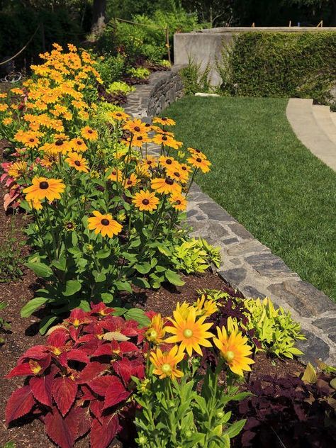 Easy Plants To Grow, Easy Care Plants, Garden Yard Ideas, Easy Plants, Front Yard Landscaping Design, Pretty Plants, Flower Bed, Planting Bulbs, Ground Cover