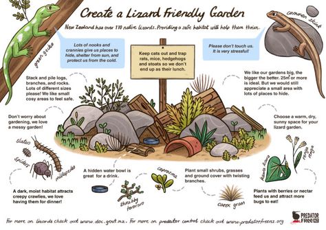 Wildlife Garden Design, Lizard Habitat, Habitat Garden, Wildlife Gardening, Food Forest, School Garden, Wildlife Habitat, Nature Garden, Garden Structures