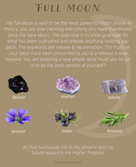 Full Moon Altar, Moon Madness, Goddess Magick, Lunar Witch, Lunar Magic, Crystal Healing Chart, Moon Magick, Charmed Book Of Shadows, Moon Rituals