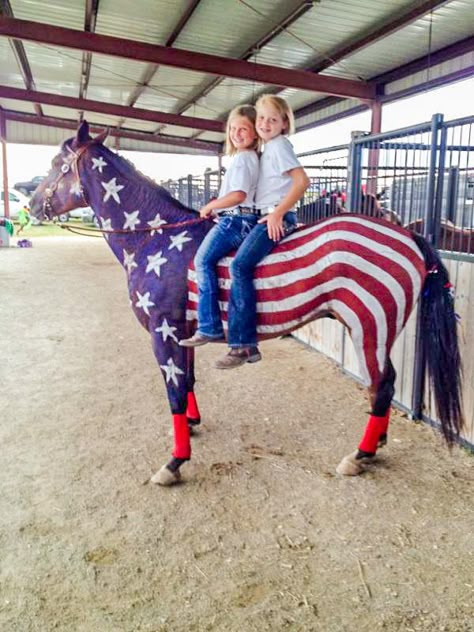 4th Of July Horse Parade Ideas, Red White And Blue Horse Ideas, Horse Christmas Parade, 4th Of July Horse Painting Ideas, Horses In Christmas Parade, Horse Halloween Costumes, Horse And American Flag, Horse Arena, Trick Riding