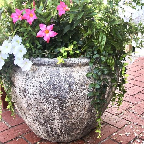 Repainting Flower Pots, Aging Plastic Pots, Clay Pot Garden Ideas, Painted Urns Planters, Diy Paint Planter Pot, Painting Outdoor Planters, Painting Outdoor Pots, Plastic Pots Makeover, Plastic Planters Makeover Ideas