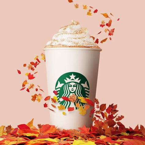 Food & Beverage Photography - Jenna Gang — Jenna Gang Photography Wallpaper Starbucks, Best Starbucks Drinks, Starbucks Wallpaper, Starbucks Pumpkin Spice Latte, Tea Labels, Publicidad Creativa, Holiday Coffee, Juice Bar, Coffee Packaging