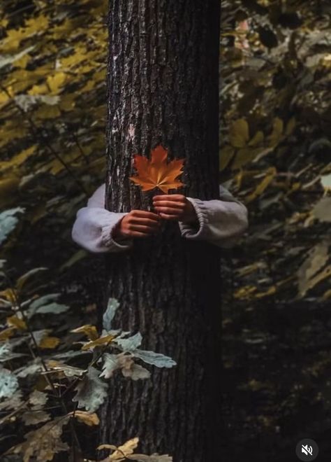 Leaf Photography Photo Ideas, Faceless Portrait Photography, Autumn Photography Ideas, Autumn Photoshoot Ideas, Fall Portrait Photography, Cozy Photography, Pose Tips, Website Design Photography, Autumn Photography Portrait