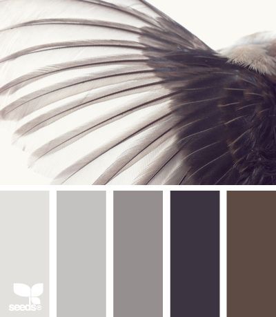 Palettes Color, Seeds Color, Palette Design, Color Palate, Design Seeds, Color Stories, Color Textures, Colour Schemes, Color Pallets