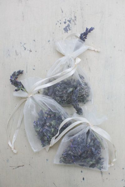 Lavender Photography, Lavender Crafts, Lavender Cottage, Lavender Garden, Joy Photography, Lavender Bags, Lovely Lavender, Army Knife, Lavender Sachets