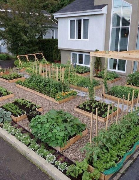 Diy Garden Landscaping, Garden Layouts, Edible Gardening, Homestead Ideas, Play Garden, Vegetable Garden Raised Beds, Garden Works, Black Thumb, Backyard Vegetable Gardens