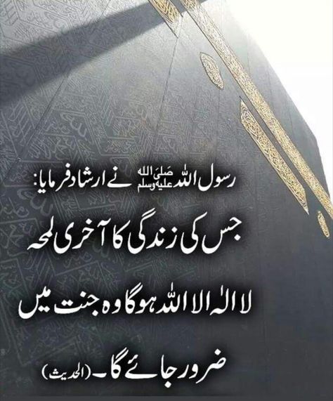 Hadis Nabi In Urdu, Golden Quotes, Tiger Pictures, Image Poetry, Islamic Knowledge, Allah Wallpaper, Hadith Quotes, Gujarati Quotes, Hazrat Ali