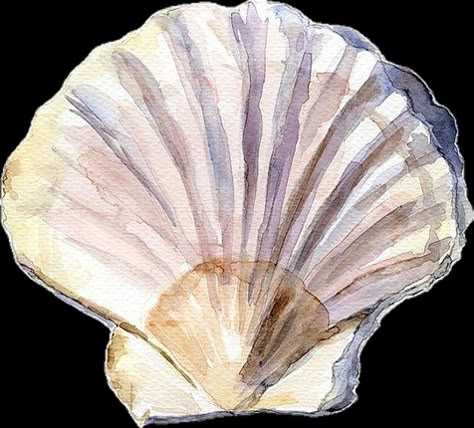 shell painting Shell Drawing, Art Plage, Art Coquillage, Seashell Art, Sea Art, Watercolor Ideas, Watercolor Inspiration, Shell Art, Natural Forms