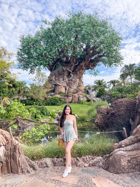 Animal Kingdom Instagram Pictures, Animal Kingdom Photos, Animal Kingdom Pictures, Animal Kingdom Photo Ideas, Animal Kingdom Picture Ideas, Animal Kingdom Aesthetic, Disney World Must Do, Disney World Photo Ideas, Animal Kingdom Outfit