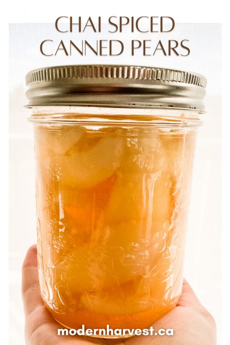 Canned Chai Spiced Pears In 10 Easy Steps - Modern Harvest Spiced Pears For Canning, Canned Spiced Pears, Bartlett Pears Recipes, Spiced Pears Canned, Fermented Pears, Canned Pears Recipes, Preserving Pears, Preserve Pears, Pear Preserves Recipe