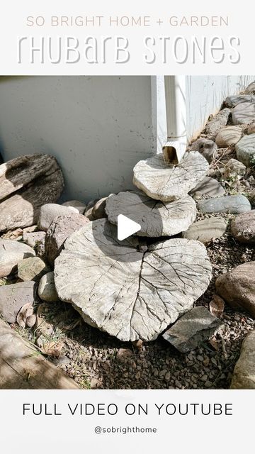 Jackie Lindsay | Home DIY & Craft on Instagram: "I’ve been making concrete rhubarb leaves since my early teens after seeing them in a @marthastewart magazine. Remember those days?   Three ways you can use them: 1. Create a drain spout (or use curved ones for a bird bath) 2. Make them flat for a pathway 3. Use them to make a patio   Which way do you like best?   Comment MORE for the full (free) tutorial if you want to make them too!   #concreterhubarb #concreteleaf #diygarden #steppingstones #rhubarbsteppingstones #concreterhubarbleaves #homeandgarden #sobrighthome   DIY garden projects | rhubarb leaf stepping stones | beginner concrete projects | rhubarb leaf ideas | So Bright Home" Cement Rhubarb Leaves How To Make, Rhubarb Leaf Bird Bath Cement Leaves, Diy Leaf Stepping Stones Concrete Leaves, Leaf Casting Diy Concrete Leaves, Concrete Rhubarb Leaves, Leaf Stepping Stones, Concrete Leaf Fountain, Leaf Ideas, Cement Leaves