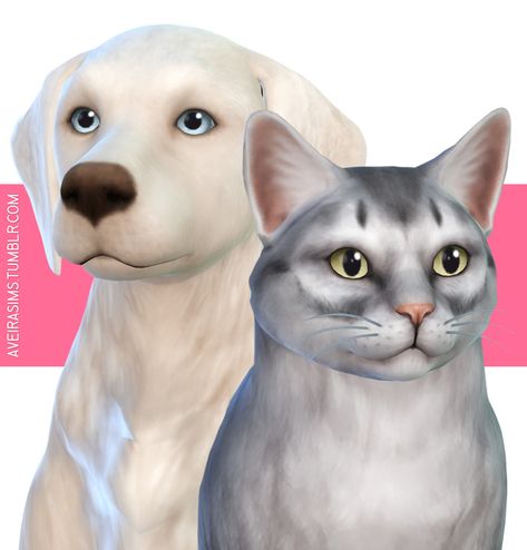 Aveira's Sims 4, Best Friend Eyes Requires Cats & Dogs EP 9 Colors... Vampire Eyes, Sims Pets, Sims 4 Cc Hair, Sims 4 Cc Eyes, 4 Best Friends, Best Sims, Dog Eyes, Sims 4 Game, Cc Finds