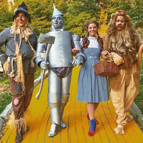 Wizard Of Oz Lion, Birks Outfit, Cowardly Lion, Glinda The Good Witch, Land Of Oz, The Wizard Of Oz, Judy Garland, Trunk Or Treat, The Wizard