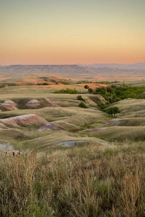 in the Great Plains is home to hundreds of animals and provides a unique ecosystem for many | #Nature #Rapid_City_South_Dakota_Aesthetic #South_Dakota_Landscape #South_Dakota_Aesthetic Rapid City South Dakota Aesthetic, South Dakota Landscape, South Dakota Aesthetic, Webpage Inspiration, Wildfire Druid, Questions Aesthetic, Dakota Aesthetic, Prairie Aesthetic, Midwest Aesthetic