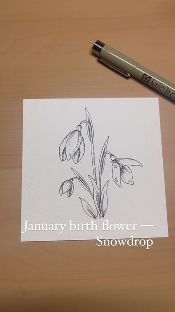 Snowdrop Flower Drawing, Snowdrop Drawing, Pen Art Doodle, Stippling Drawing, Snowdrop Flower, January Birth Flowers, Flower Outline, Drawing Wallpaper, Pen Sketch