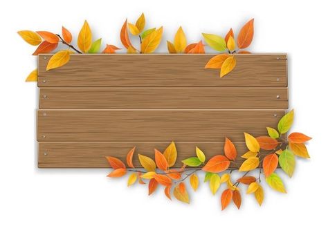 Autumn Tree Branch, Beautiful Flower Quotes, Branch Vector, Kindergarten Design, Paper Wall Hanging, Floral Border Design, Wall Hanging Crafts, Autumn Tree, Wallpaper Nature Flowers