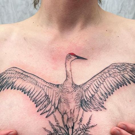 𝚋 𝚞 𝚋 𝚣 𝚎 𝚎 on Instagram: "sandhill crane 🌹 . . . thank you Claire for travelling to get this piece 🌹" Crane Chest Tattoo, Sand Hill Crane Tattoo, Sandhill Crane Tattoo, Heron Tattoo, Crane Tattoo, Flash Ideas, Sandhill Crane, Chest Tattoo, Tattoo Inspo