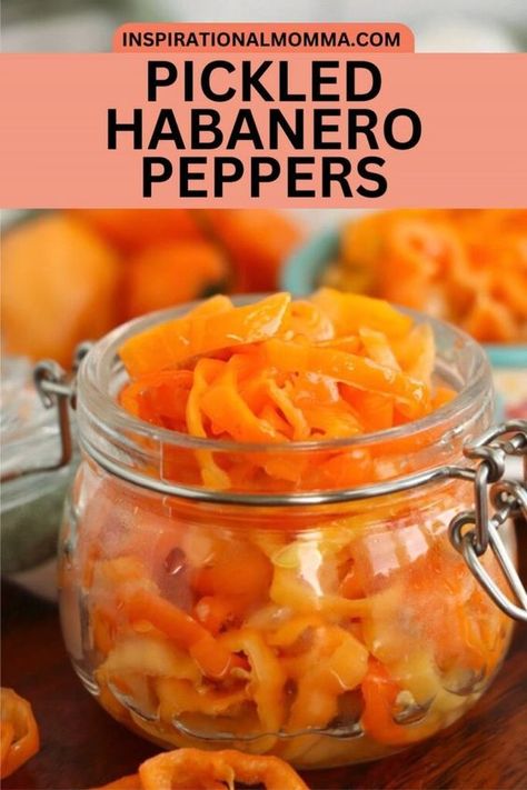 Anyone who knows me knows I love a little sweet with my heat, which is why I love making these pickled habanero peppers. They pack a punch of habanero heat in every bite, but the added sugar and the pickling process tone them down just a bit. If you love a nice, hot addition to your meals, then these pickled habaneros are for you. They have the classic heat and flavor of habanero peppers along with a slightly sweet tang thanks to the sugar I use in the pickling blend I pickle the peppers in. Pickled Habenaros, Roasted Habanero Peppers, How To Use Habanero Peppers, Habernos Recipes, Canning Habanero Peppers, Pickled Habanero Peppers Recipe, Jalapeno Ideas, Pickled Habanero Peppers, Zesty Pickles