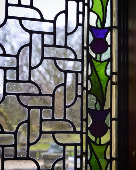 Thistle stained glass. Scotland. | Thistle stained glass. Re… | Flickr Thistle Stained Glass Patterns, Stained Glass Thistle, Celtic Stained Glass Patterns, Scotland Thistle, Loch Lomond Scotland, Antique Stained Glass Windows, Stain Glass Window Art, Scottish House, Scotland History