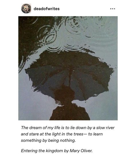 Aesthetics Quote, Chaotic Academia, Literature Quotes, Dark Academia Aesthetic, Aesthetic Words, Rain Photography, Bob Dylan, Deep Thought Quotes, Poetry Quotes