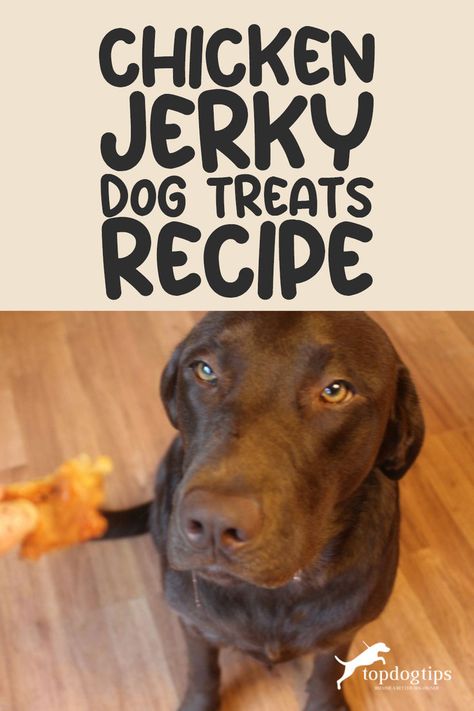 Chicken Jerky Dog Treats Recipe Chicken Dog Treats Recipes, Chicken Jerky For Dogs, Jerky For Dogs, Dog Treats Recipe, Chicken Dog Treats, Dog Treat Recipe, Dog Treats Homemade Easy, Chicken Jerky, Yummy Chicken