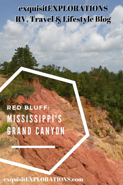 Red Bluff: Mississippi's (Secret) Grand Canyon by exquisitEXPLORATIONS Red Bluff Mississippi, Explore Mississippi, Red Bluff, Family Vacay, Rv Lifestyle, Travel Pics, The Grand Canyon, Mom And Sister, Summer Feeling