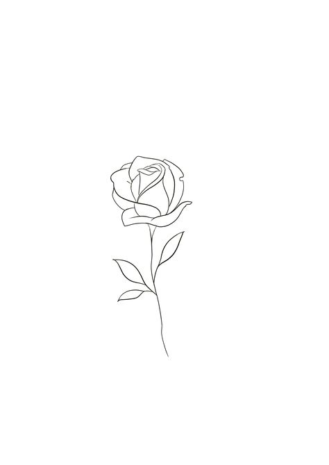 Single White Rose Bouquet, Sketch Rose Tattoo, Linear Rose Tattoo, Rose Tattoo Line Art, Rose Fine Line Tattoo Design, Fineline Rose Tattoo Design, Minimalist Rose Drawing, Open Rose Tattoo, Single Line Rose Tattoo