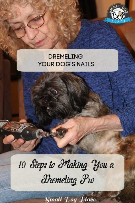 Dremeling your dog's nails Nail Dremel, Clipping Dog Nails, Cut Dog Nails, Dogs Nails, Trimming Dog Nails, Elderly Dogs, Dog Grooming Tips, Pet Ideas, Nail Drill Machine