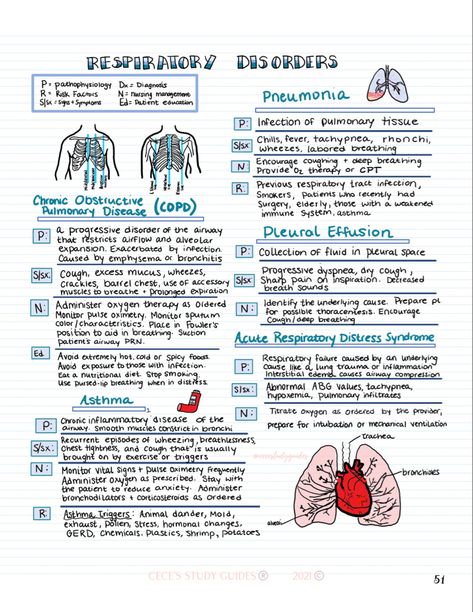 Respiratory Therapy Nursing Care Med-Surg Asthma Study Notes, Pleural Effusion Nursing, Asthma Nursing Notes, Pneumonia Notes, Atelectasis Nursing, Pneumonia Nursing Notes, Asthma Notes, Nremt Study Guide, Asthma Pathophysiology