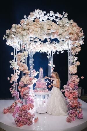 Princess Wedding Theme, Disney Princess Wedding, Wedding Hall Decorations, Wedding Stage Design, Luxury Wedding Decor, Wedding Backdrop Decorations, Wedding Venue Decorations, Wedding Stage Decorations, Floral Arch