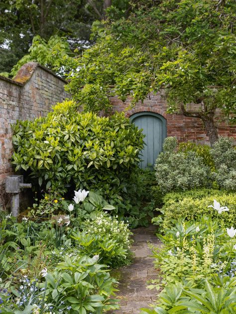 Writer Olivia Laing's quest for a personal Eden in her Suffolk garden | House & Garden Manhattan House, Front Gardens, Herbaceous Border, Mediterranean Garden, Garden Recipes, Spring Bulbs, City Garden, Back Gardens, Easy Garden