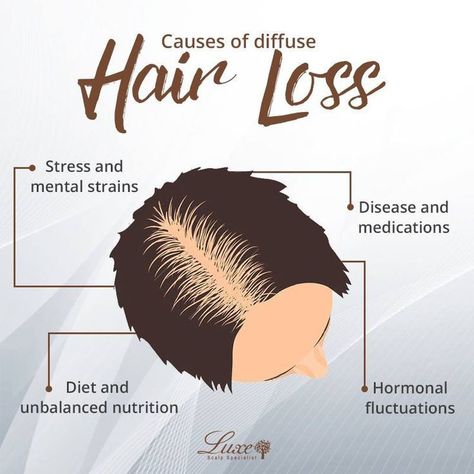 Diffuse Hair, Hair Advertising, Hair Science, Hair Facts, Skin And Hair Clinic, Scalp Brushing, Salon Quotes, Hair Hack, Colored Hair Tips