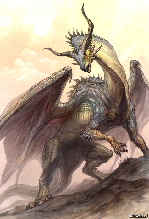 More Dragons Dragon Medieval, Conceptual Artwork, Dragon's Lair, Cool Dragons, Dragon Pictures, Dragon Artwork, Mythological Creatures, Dragon Drawing, Fantasy Dragon