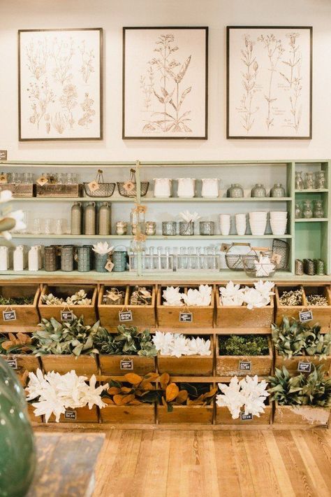 Botanical Store Design, Apothecary Shop Interior, Flower Shop Shelving, Opening A General Store, Florist Storage Ideas, Flower Shop Storage, Magnolia Store Display, Store Interiors Ideas, Herbal Shop Interior