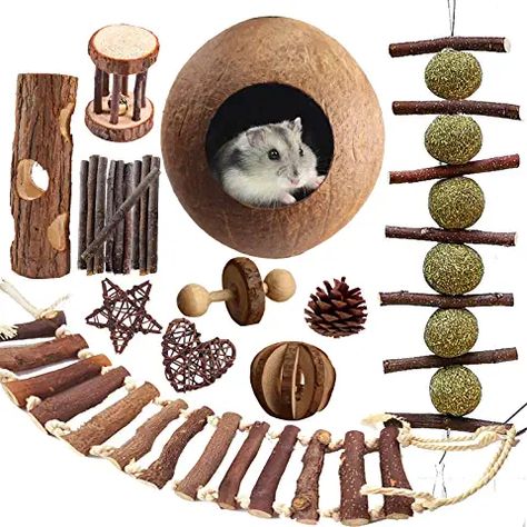 Pet Mouse Cage, Hamster Chew Toys, Chinchilla Toys, Baby Swings And Bouncers, Pet Mouse, Mouse Cage, Rat Toys, Hamster Care, Hamster Toys