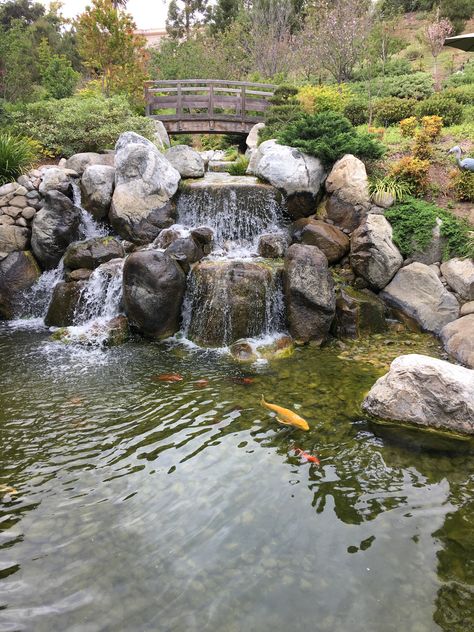 Japanese Friendship Garden San Diego, Japanese Garden Plants, Pond Waterfall, Japan Garden, Pond Water Features, Engagement Photo Poses, California Dreamin', Water Feature, San Diego California