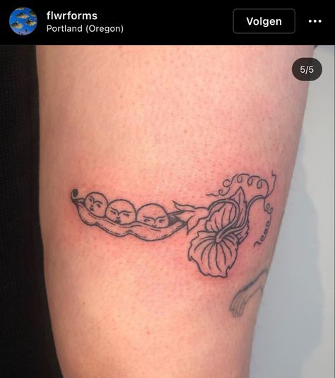 Bean Pod Tattoo, 2 Sisters Tattoo Ideas, Three Peas In A Pod Tattoo, Pepper Plant Tattoo, Peapod Tattoo, Pea Pod Tattoo, Peas In A Pod Tattoo, Pea Tattoo, Sisters Tattoo