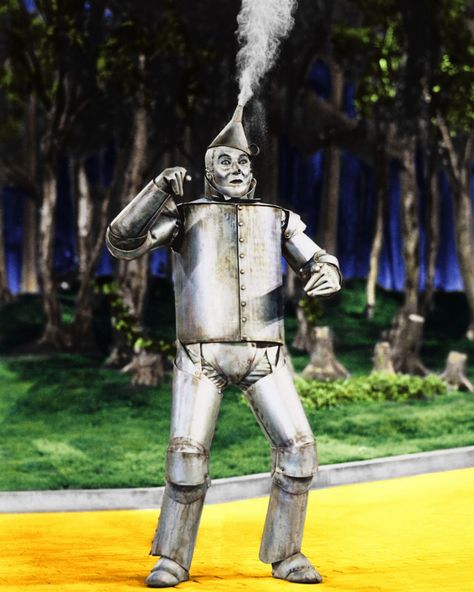 Wizard of Oz Tin Man Scene | Tin Man From Wizard of Oz Oz Büyücüsü, Wizard Of Oz Pictures, Jack Haley, Wizard Of Oz Characters, The Tin Man, Oz Movie, Wizard Of Oz 1939, Land Of Oz, The Wonderful Wizard Of Oz