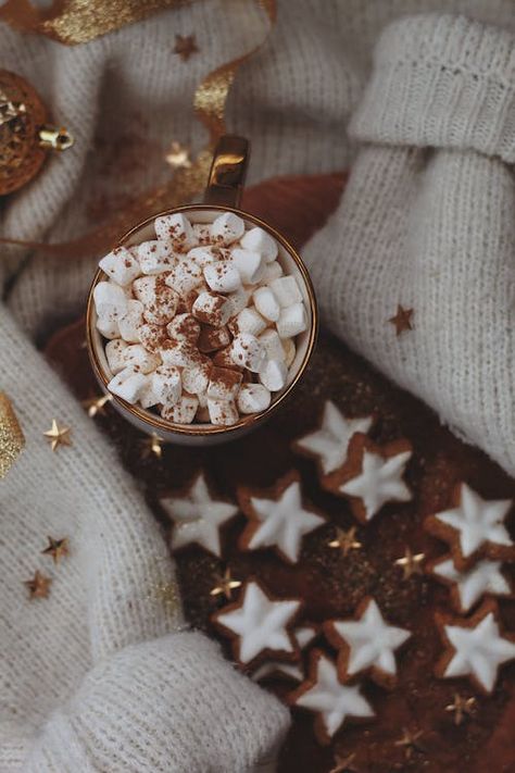 Hot Chocolate with Marshmallows on Top and Star Shaped Gingerbread Cookies · Free Stock Photo Christmas Wallpapers For Iphone, Aesthetic Christmas Wallpapers, Hot Chocolate With Marshmallows, Chocolate With Marshmallows, Holiday Hot Chocolate, Star Shaped Cookies, Christmas Wallpaper Free, Chocolate Photos, Coffee Filter Crafts