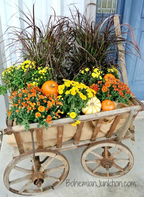 Fall decor: Goat wagon loaded down with mums and fall grass from Lowe’s. ~ bohemianjunktion.com Wagon Decor, Land Scaping, Fall Window Boxes, Fall Yard Decor, Fall Yard, Fall Garden Decor, Fall Planting, Fall Mums, Wheelbarrows