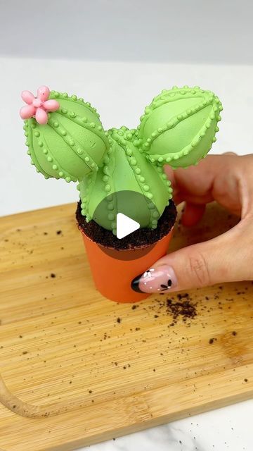 Maria Gomez on Instagram: "Cactus pots 🌵🪴 @brookiescookiesco shared the cutest little cactus chocolate covered strawberries by @alurasdiplicioustreats and I just had to recreate them in pots! I filled these with chocolate cake pop filling but dirt cakes would be so good too! The dirt is crushed Oreo cookies. The chocolate I used is a 50/50 blend of @stoverandcompany eleven o’one deluxe melting wafers and their sweet shoppe melting wafers. For the color is used artisan accents orange from @stoverandcompany and added milk chocolate until I achieved the desired color. 

#cakepops #cakepop #cactus #succulent #succulents #succulentcake #succulentcupcakes #baking #cake #cakedecorating #chocolatecoveredstrawberries #dippedstrawberries #strawberries #treatmaker #treatmakers #cakepoptutorial #mot Cactus Cake Pops, Dirt Cakes, Chocolate Cake Pop, Brookies Cookies, Maria Gomez, Crushed Oreo, Cake Pop Tutorial, Succulent Cupcakes, Succulent Cake