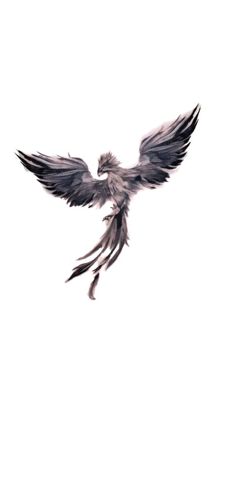 Phoenix Tattoo Black And Grey, Phoenix Tattoo Masculine, Phoniex Bird Aesthetic Tattoo, Phenix Tattoo Man, Small Phoenix Tattoo Men, Shoulder Blade Tattoo Men, Phoenix Bird Tattoos Men, Fenix Tattoo Men, Phoenix Tattoo Design Men