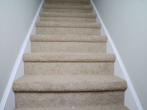 How To Easily Clean Carpet On Stairs - The DIY Nuts Clean Stairs Carpet, Spot Cleaning Carpet, Carpet On Stairs, How To Lay Carpet, Stairway Carpet, Diy Staircase Makeover, Carpeted Stairs, Stairs Covering, Carpet Staircase