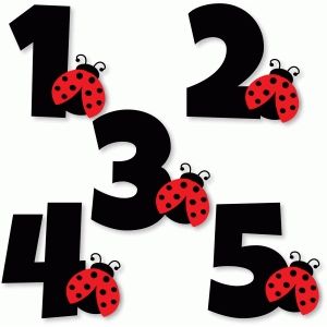 Ladybug Numbers, Ladybug Cakes, Ladybug Birthday Party, Baby Ladybug, Ladybug Theme, Ladybug Crafts, Alfabet Letters, Ladybug Birthday, Ladybug Party