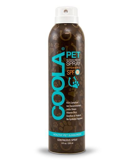 Pet Sunscreen, Coola Sunscreen, Dermatologist Recommended Sunscreen, Dog Sunscreen, Sunscreen Spray, Pet Spray, Best Sunscreens, Suncare, Interactive Dog Toys